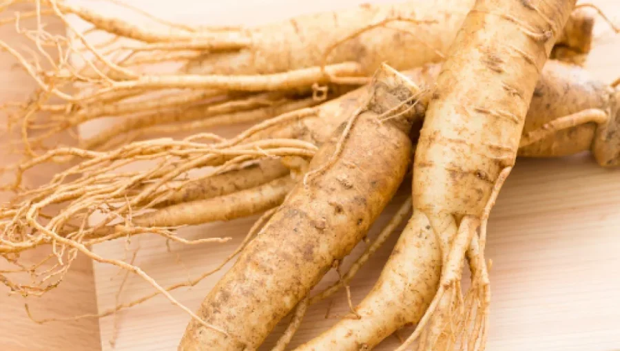 Herbal Medicine: A Natural Path to Healing and Vitality