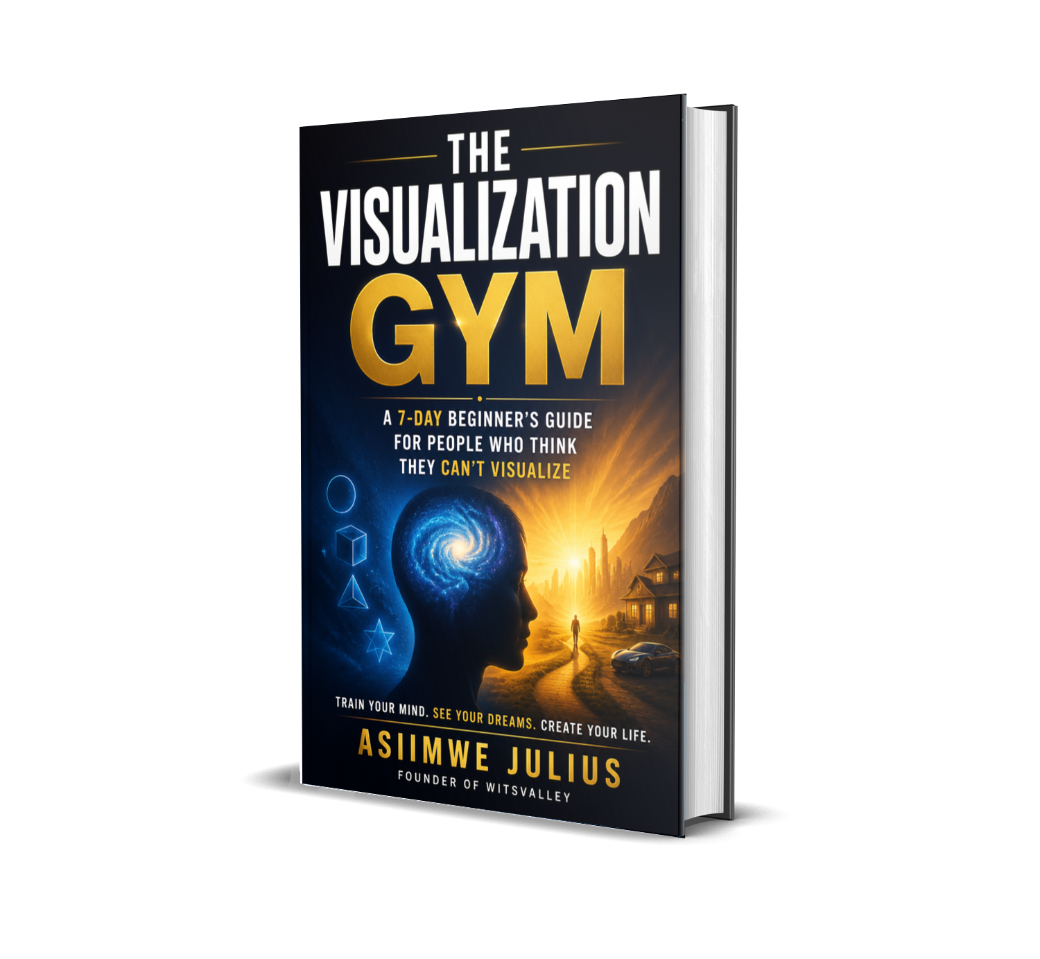 THE VISUALIZATION GYM